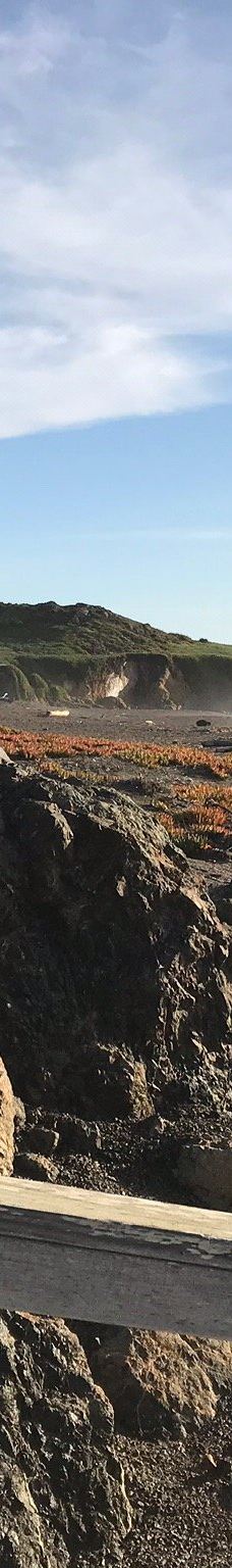 Shamel Park-坎布里亚