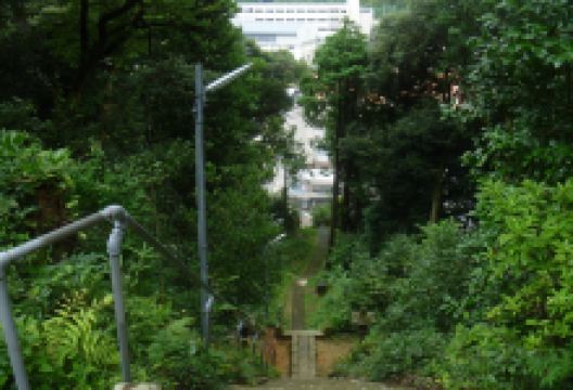 许野乃兵主神社景点图片