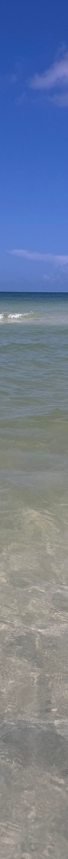 Hemingway Water Shuttle-柯里尔县