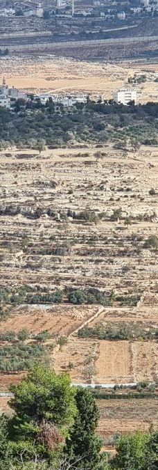 Nebi Samuel National Park-耶路撒冷