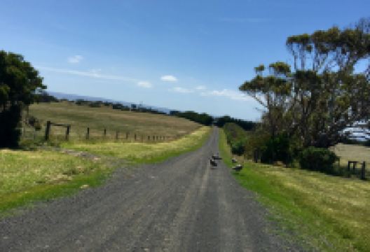 Churchill Island Marine National Park景点图片