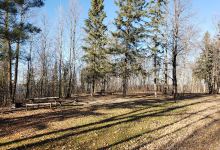 Moose Lake Campground景点图片