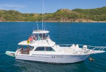 Ocean Life Costa Rica - Marina Flamingo景点图片