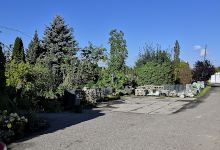 Ovocné a okrasné školky Lanškroun购物图片