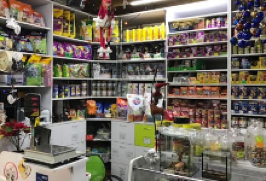 Zootovary购物图片