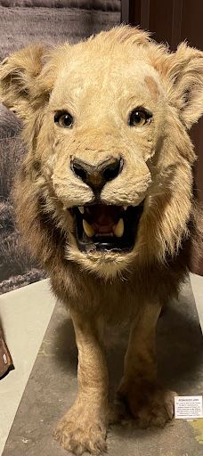 Museum Uebersee-伯格奥夫费马恩