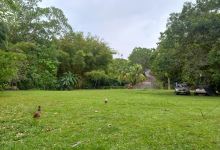 Balneario las Mercedes景点图片