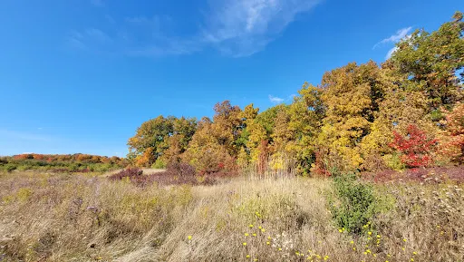Eramosa Karst Conservation Area