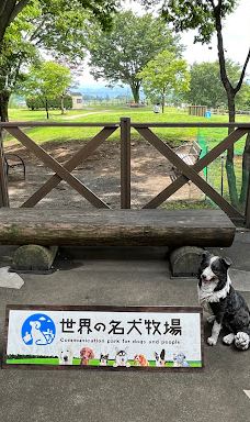 世界名犬牧场-前桥市