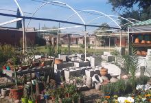 Beraca Vivero De Karina购物图片