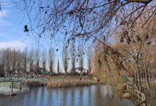 Parco San Serafino景点图片