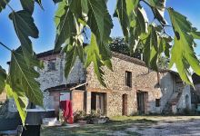 Gîte la ferme de parry景点图片