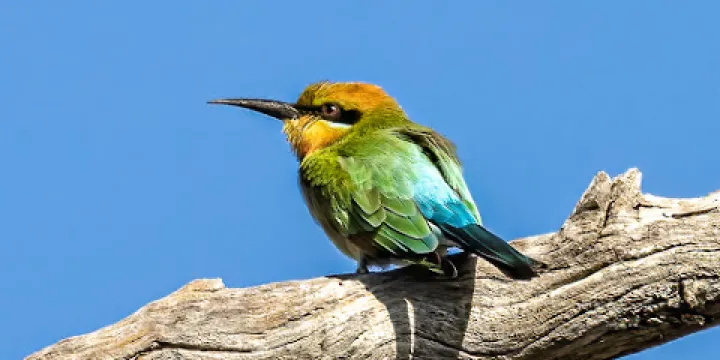 Freshwater National Park