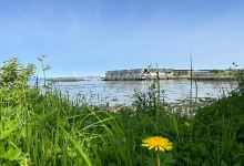 Rotvollfjæra景点图片