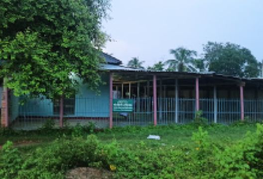 Sholohati Jame Mosque景点图片