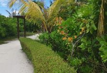 Maamutaa景点图片