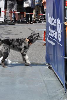 Marktbrunnen-罗特韦尔