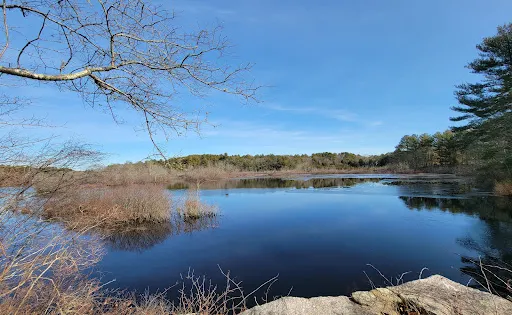 Black Farm State Management Area