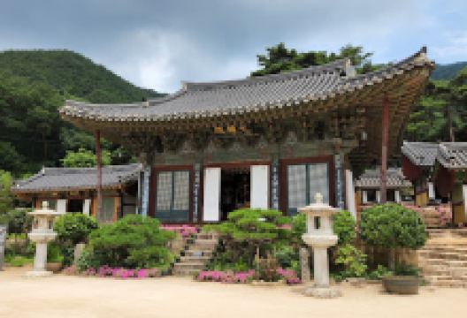 观龙寺景点图片