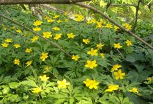 Oasi dei nuovi nati景点图片