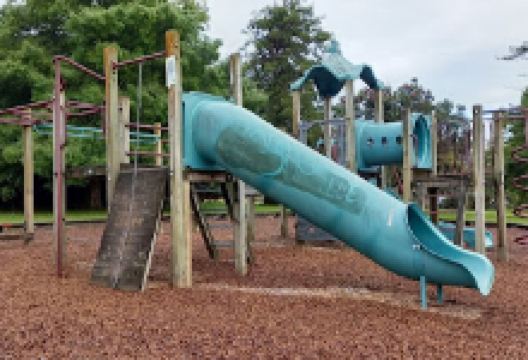 Blue Gum Park景点图片