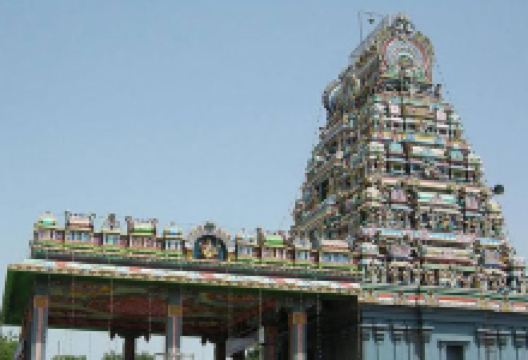 Lord Murugan Temple景点图片