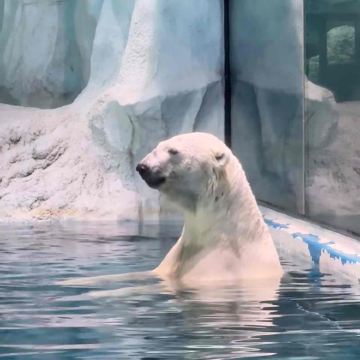 香港+澳门+珠海长隆度假区+深圳5日4晚跟团游