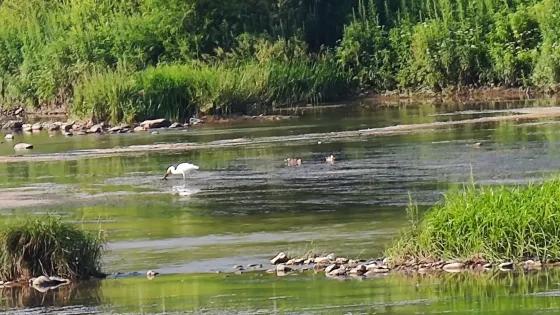 西江公園