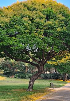 Menachem Begin Park-特拉维夫