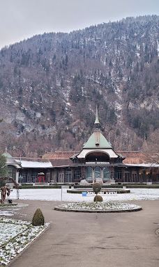 因特拉肯城堡-因特拉肯