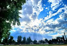 Tarzana Recreation Center景点图片