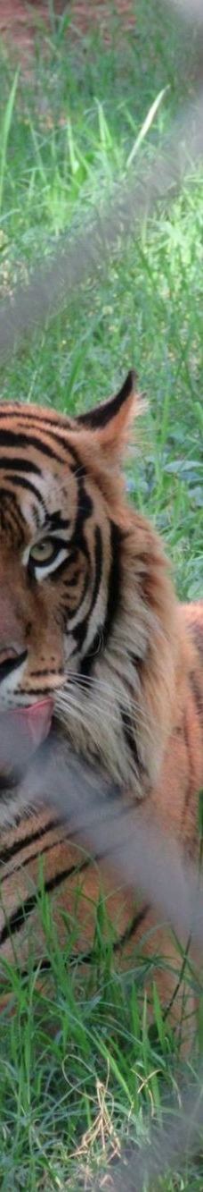 Botanical Garden of Asunción-亚松森