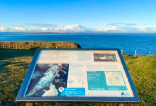 邓肯斯比角景点图片