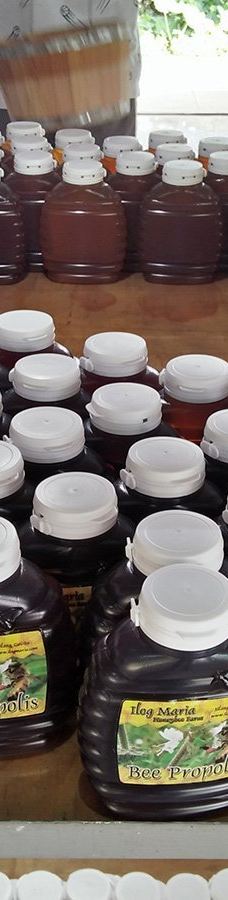 Ilog Maria Honeybee Farm-锡朗
