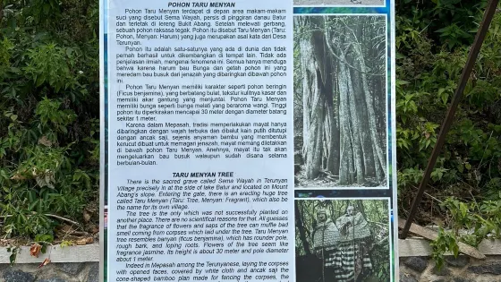 Trunyan Cemetery