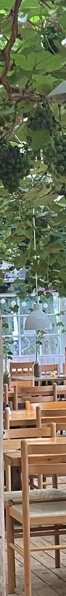 Vingaarden, Lille Gadegaard ( Vineyard )-阿克尔科拜