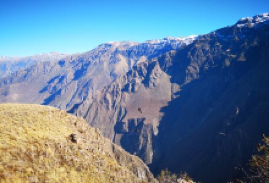 Mirador Cruz del Condor景点图片