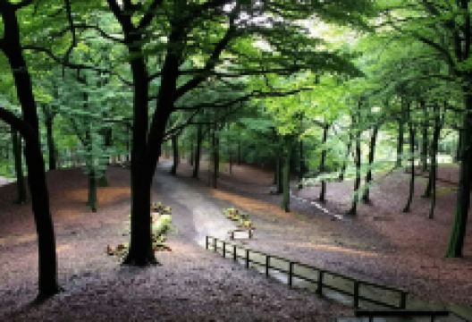 Tandle Hill Country Park景点图片