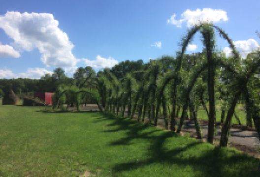 Weidenburg Arena Salix景点图片