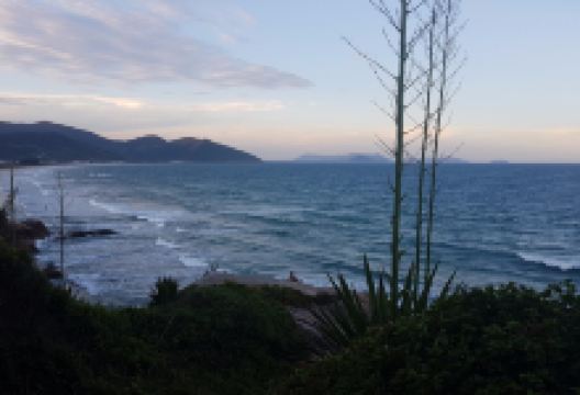 Praia de Morrinhos景点图片