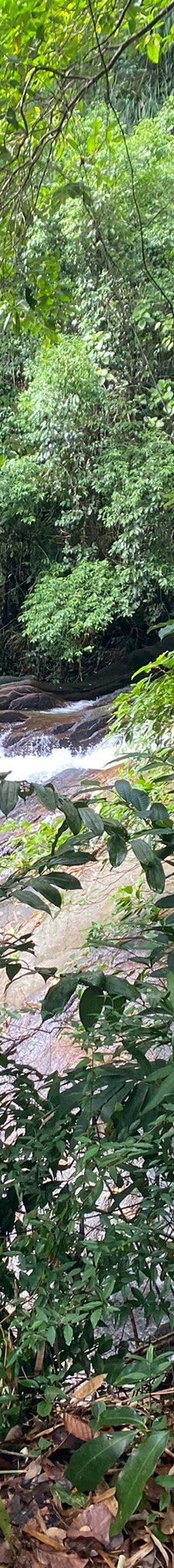 Ton Pring Waterfall-泰孟