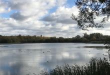 Nene Wetlands Nature Reserve景点图片