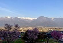 池田町立美术馆景点图片