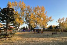 Nanton Centennial Park景点图片