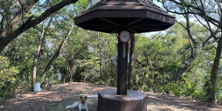 田中森林公園登山步道