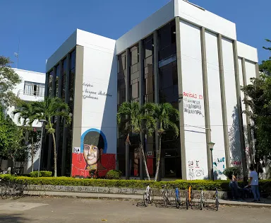 Universidad del Tolima