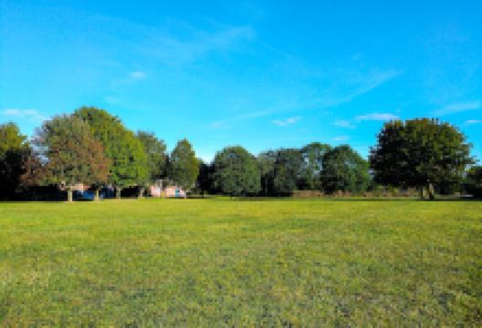 Wheatfields Playground景点图片