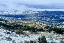 Cedars Forest景点图片
