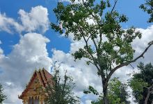 Wat Rak Khitawan景点图片