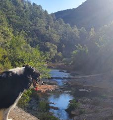 gorgues D'Albanyà-阿尔瓦纳